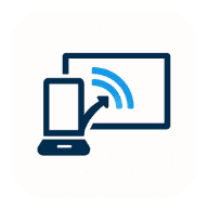 Screen Relay